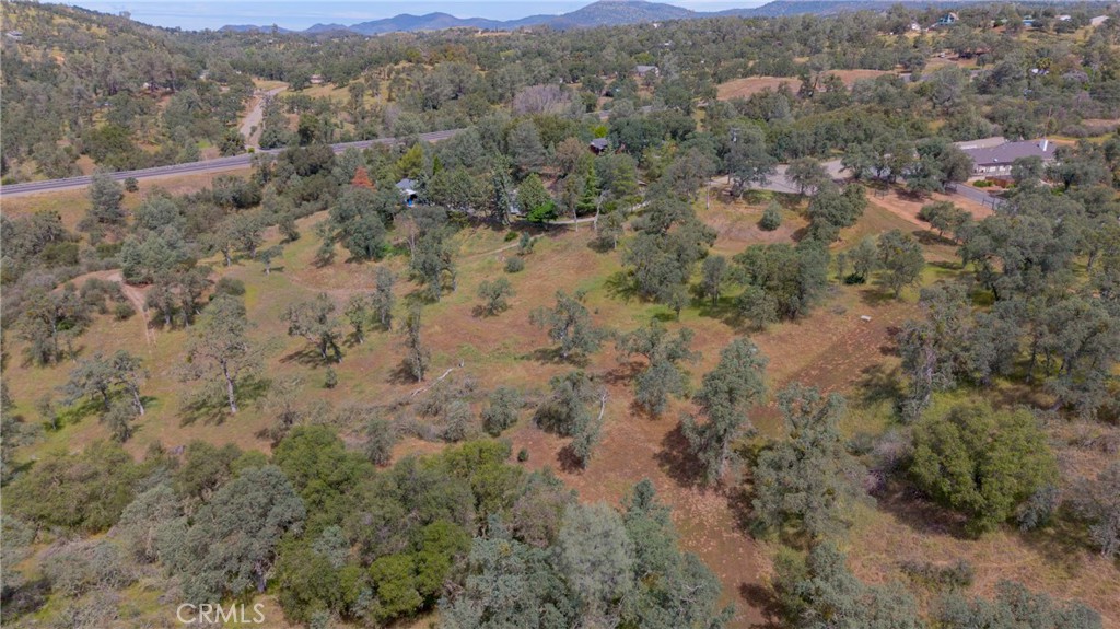 3222 Hormiga Ct, Coulterville, CA 95311