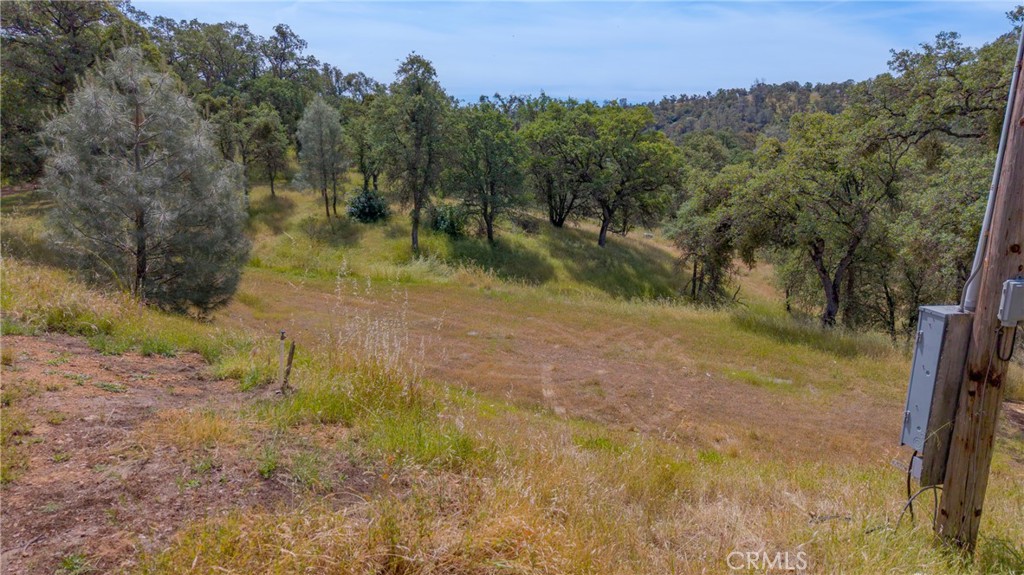 3222 Hormiga Ct, Coulterville, CA 95311