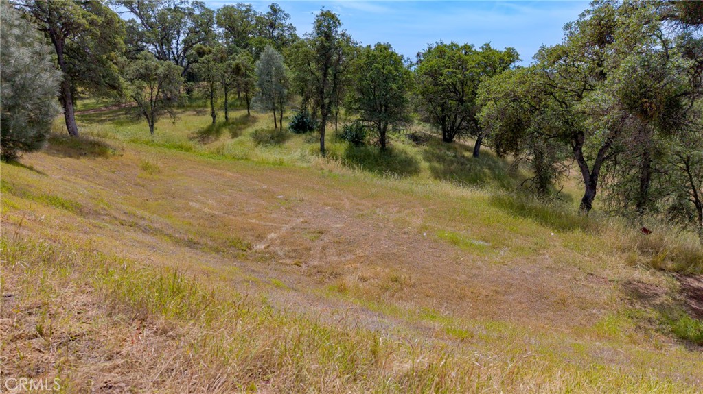 3222 Hormiga Ct, Coulterville, CA 95311